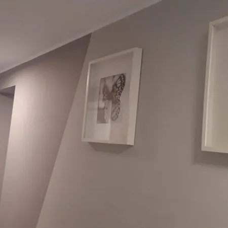 Hotel City Hotel Bucharest 2*