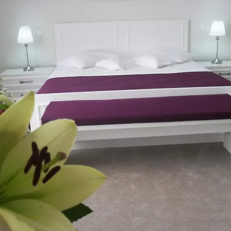 City Hotel Bucharest 2* בוקרשט