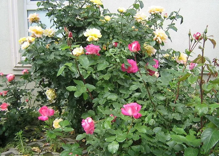 City Hotel Bucharest Szálloda